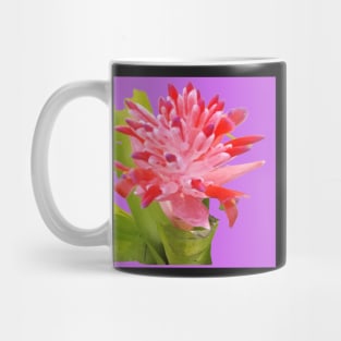Colorful Tropical Bromeliad Flower in Pink, Purple, Lavender and Green Mug